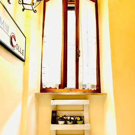 Dormincolle - In Stile Toscano Apartment Colle Val D'Elsa
